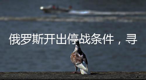 俄罗斯开出停战条件，寻求和平解套的全新起点