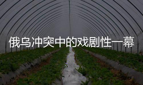 俄乌冲突中的戏剧性一幕，特朗普为何未对泽连斯基采取行动？揭秘其中的奇迹原因