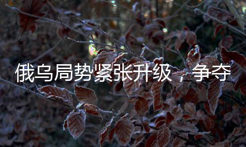 俄乌局势紧张升级，争夺最后战果引发北约紧张情绪