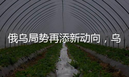 俄乌局势再添新动向，乌总统与英法领导人通话