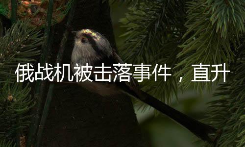 俄战机被击落事件，直升机绝地救援飞行员