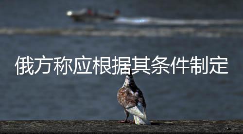 俄方称应根据其条件制定涉乌协议，国际各方的视角与影响分析