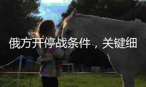 俄方开停战条件，关键细节与未来展望