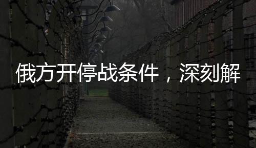 俄方开停战条件，深刻解读与未来展望