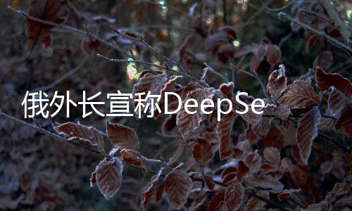 俄外长宣称DeepSeek超越美国，全球技术竞赛的新篇章