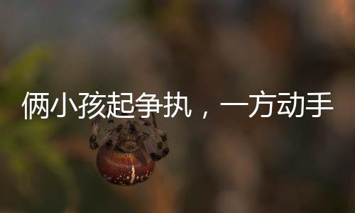 俩小孩起争执，一方动手引发社会关注