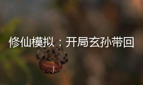 修仙模拟：开局玄孙带回修仙功法
