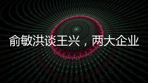 俞敏洪谈王兴，两大企业家巨头共绘未来蓝图