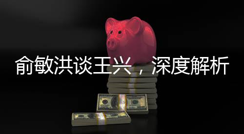 俞敏洪谈王兴，深度解析他们在商业领域的交汇与碰撞