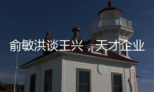 俞敏洪谈王兴，天才企业家
