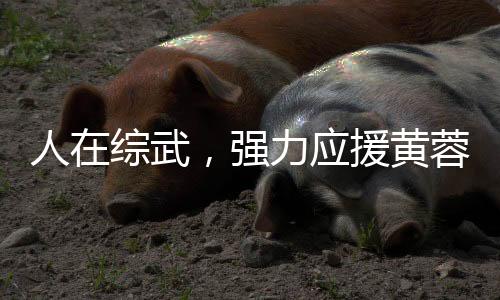 人在综武，强力应援黄蓉小龙女