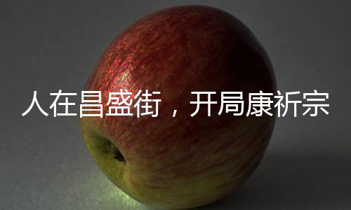 人在昌盛街，开局康祈宗选择死因