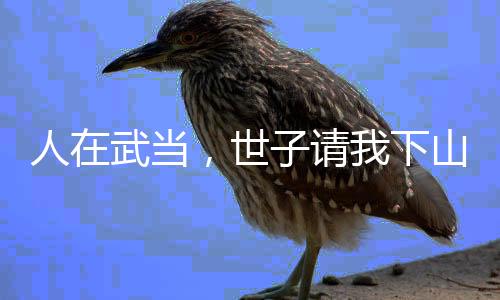 人在武当，世子请我下山镇北梁