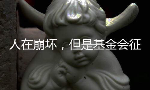 人在崩坏，但是基金会征召