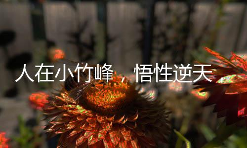 人在小竹峰，悟性逆天，以儒证道