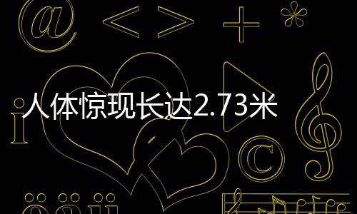 人体惊现长达2.73米绦虫，案例揭秘与专家解读