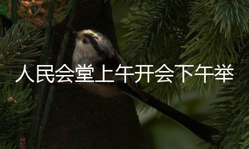 人民会堂上午开会下午举办哪吒主题活动的热议与解析