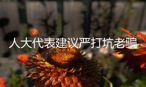 人大代表建议严打坑老骗局，守护老年人合法权益
