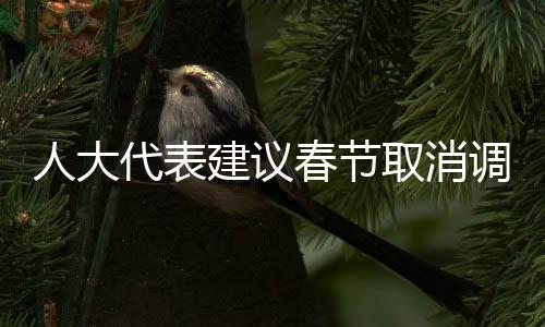 人大代表建议春节取消调休，民众的期待与时代的思考