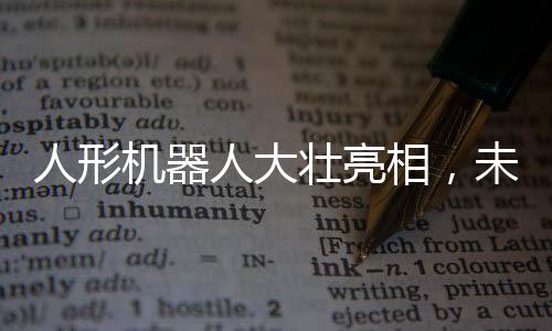 人形机器人大壮亮相，未来科技的瞩目焦点