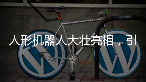 人形机器人大壮亮相，引领未来科技新潮流