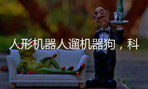 人形机器人遛机器狗，科技前沿的新篇章
