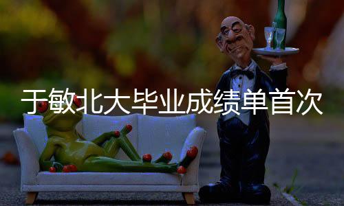 于敏北大毕业成绩单首次公开，探寻学霸背后的故事