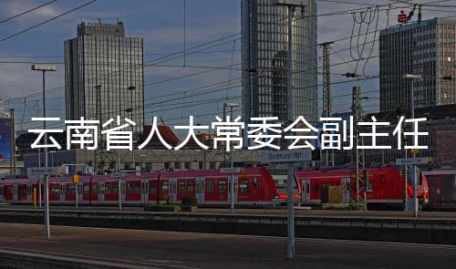 云南省人大常委会副主任李文荣被查，揭示反腐斗争新动向
