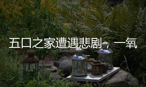 五口之家遭遇悲剧，一氧化碳中毒的紧急救援与警示