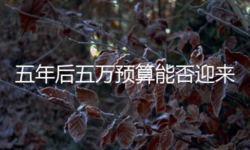 五年后五万预算能否迎来智能家务机器人？市场与技术趋势解读
