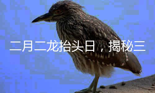 二月二龙抬头日，揭秘三大传统风俗