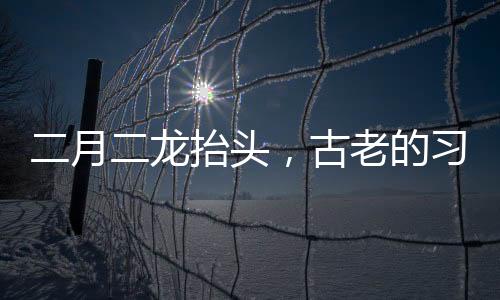 二月二龙抬头，古老的习俗与文化的传承