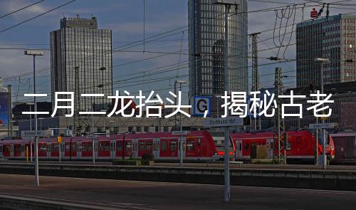 二月二龙抬头，揭秘古老天文现象背后的神秘面纱