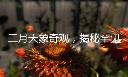 二月天象奇观，揭秘罕见的七星连珠现象即将于本月28日现身夜空的奥秘