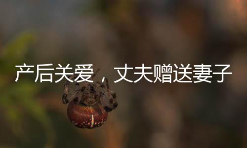 产后关爱，丈夫赠送妻子十万元塔，传递温情与关怀
