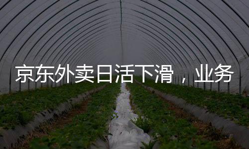 京东外卖日活下滑，业务调整或面临挑战