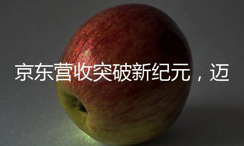 京东营收突破新纪元，迈入近万亿元的大数据与未来展望