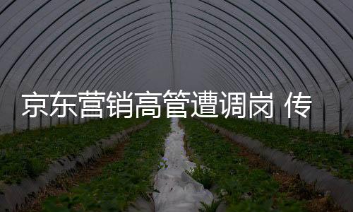 京东营销高管遭调岗 传与杨笠代言争议风波有关