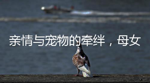 亲情与宠物的牵绊，母女冒雨寻回被亲戚悄悄抱走的小狗