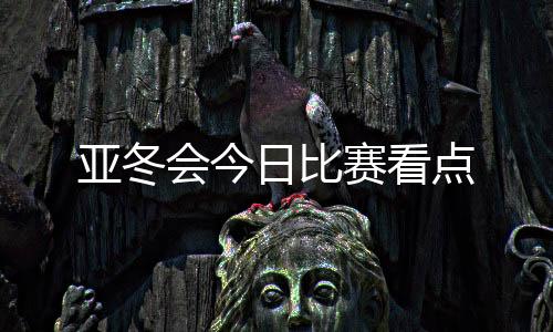 亚冬会今日比赛看点