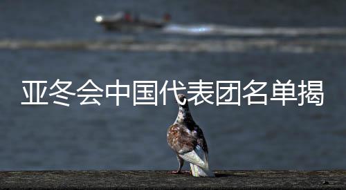 亚冬会中国代表团名单揭晓，谷爱凌领衔出战