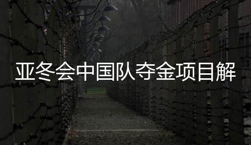 亚冬会中国队夺金项目解析，哪些项目成就辉煌？