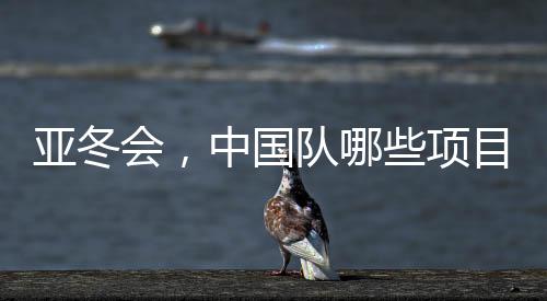 亚冬会，中国队哪些项目夺金最多？盘点夺冠热门领域