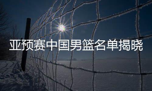 亚预赛中国男篮名单揭晓，精英汇聚，期待再创辉煌