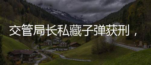 交管局长私藏子弹获刑，铁腕治乱再度显现公正执法力量