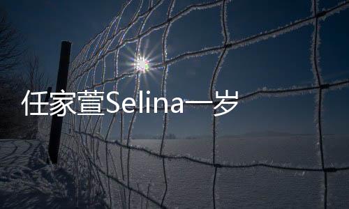 任家萱Selina一岁儿子近照曝光，幸福家庭的温馨瞬间
