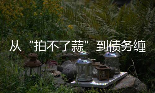从“拍不了蒜”到债务缠身，400年的张小泉怎么了？