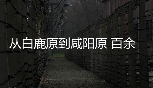 从白鹿原到咸阳原 百余件文物展现“文景之治”