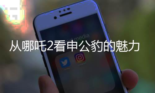 从哪吒2看申公豹的魅力，一个令人难以忘怀的反英雄角色