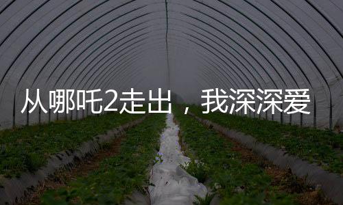 从哪吒2走出，我深深爱上了申公豹